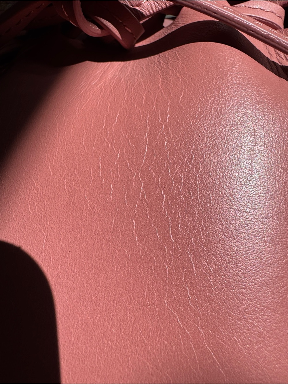 Mansur Gavriel Red Leather Mini Bucket Crossbody - Picture 15 of 15